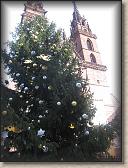 IMG_8120