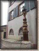 IMG_8152