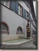 IMG_8153