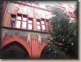IMG_8173