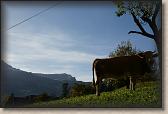 DSC00634