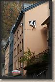 DSC00349