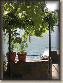 IMG_7181