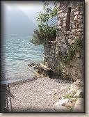 IMG_7184
