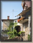 IMG_7188