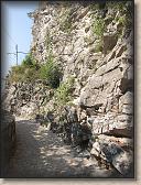 IMG_7216