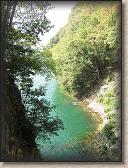 IMG_7223