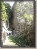 IMG_7228