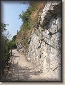 IMG_7231