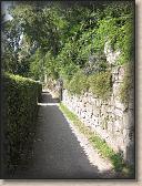 IMG_7232