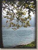 IMG_7237