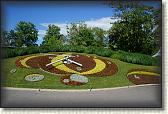 DSC04036