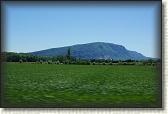DSC04105