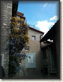 IMG_20130526_170220