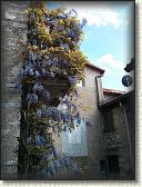 IMG_20130526_170237