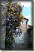 IMG_20130526_170338