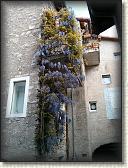 IMG_20130526_172715