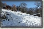 IMG_3361
