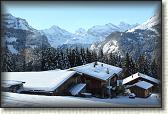 IMG_3381