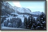 IMG_3382