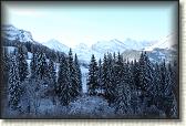 IMG_3383