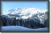 IMG_3385