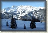 IMG_3386