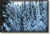 IMG_3391