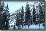 IMG_3393
