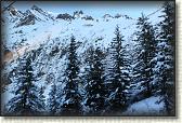 IMG_3397