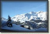 IMG_3401