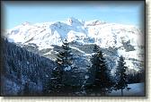 IMG_3405