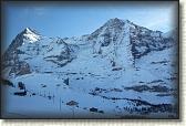 IMG_3411