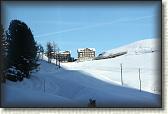 IMG_3436