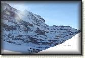 IMG_3458