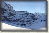 IMG_3468