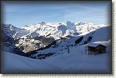 IMG_3474