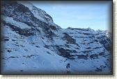 IMG_3482