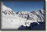 IMG_3516