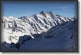 IMG_3517