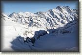 IMG_3536