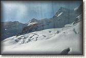 IMG_3557