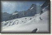 IMG_3560