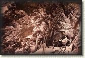 IMG_3589