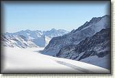 IMG_3645