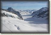 IMG_3710