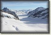IMG_3731