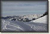 IMG_3778