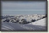 IMG_3779