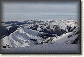 IMG_3785